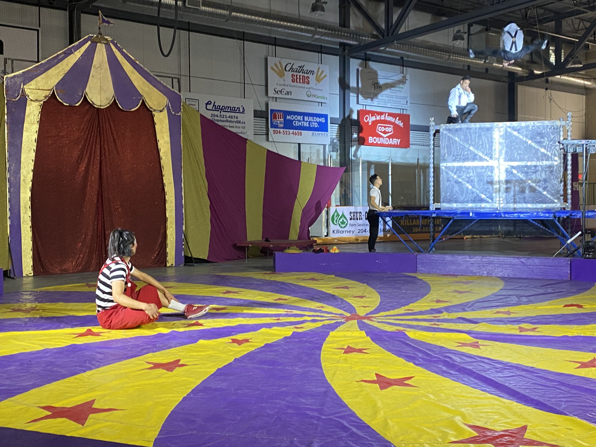 Travelling circus brings acrobat entertainment to Killarney